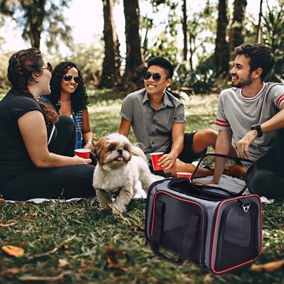 Image showing 6 th GOOPAWS Soft-Sided Airline-Approved Travel Dog & Cat Carrier, PTC1710GRD