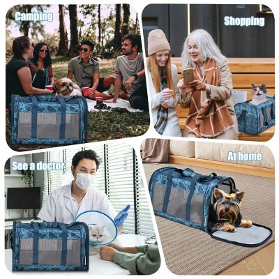 Image showing 6 th GOOPAWS Soft-Sided Airline-Approved Travel Dog & Cat Carrier, 19 in., PTC-1911BCP