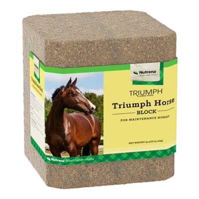 Image showing  Triumph Horse Block 33.3 lb.