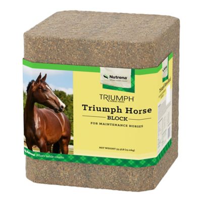 Image showing  Triumph Horse Block 33.3 lb.
