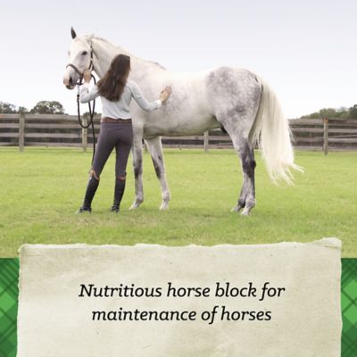 Image showing  Triumph Horse Block 33.3 lb.