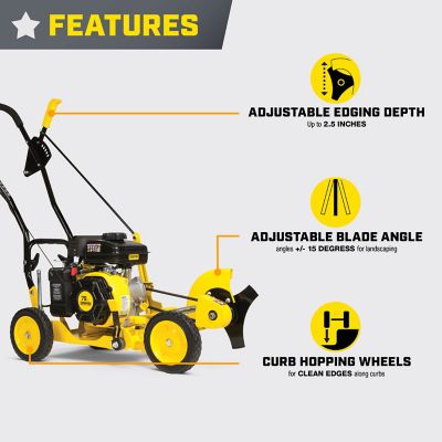 Image showing  9 in. 79cc Lawn Edger with Curb Hop Feature
