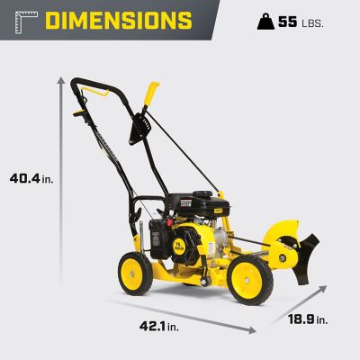 Image showing  9 in. 79cc Lawn Edger with Curb Hop Feature