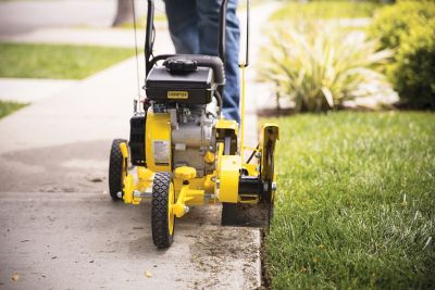 Image showing 8 th Champion Power Equipment 9 in. 79cc Lawn Edger with Curb Hop Feature