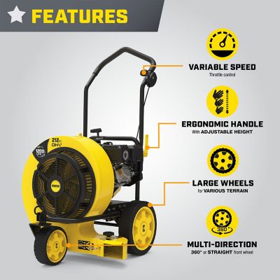 Image showing  212cc 1200 CFM Walk-Behind Leaf Blower
