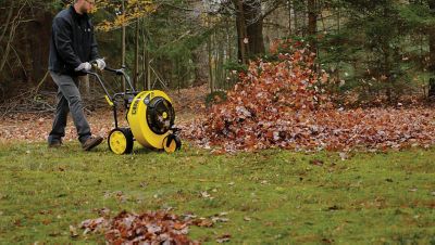 Image showing  212cc 1200 CFM Walk-Behind Leaf Blower