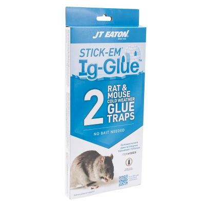 JT Eaton Stick-Em Ig-Glue Cold Weather Rat Glue Traps, 2 pk.