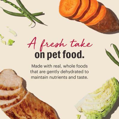 Image showing  Grain Free Chicken Recipe Dehydrated Dog Food, 10 lb. Box