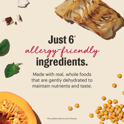 Image showing  Grain Free Limited Ingredient Fish Recipe Dehydrated Dog Food, 10 lb. Box