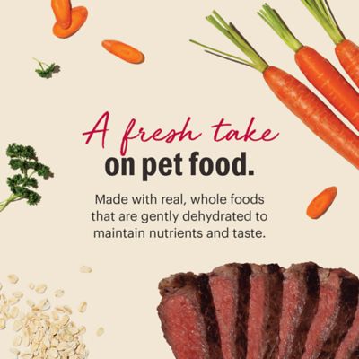 Image showing  Whole Grain Beef Recipe Dehydrated Dog Food, 10 lb. Box