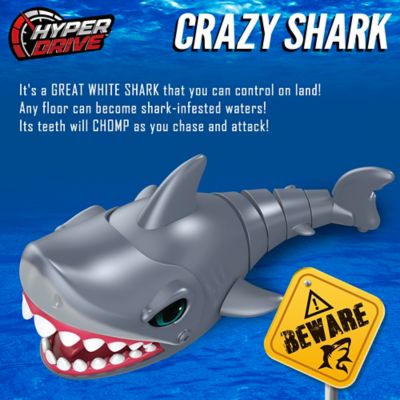Image showing  Crazy Shark RC