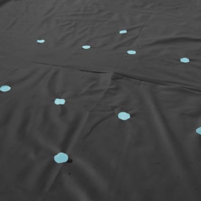 Image showing 6 th Bestway Pool Cover 12 ft. Round