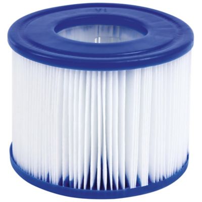 Image showing 8 th Coleman SaluSpa Palm Springs Hot Tub