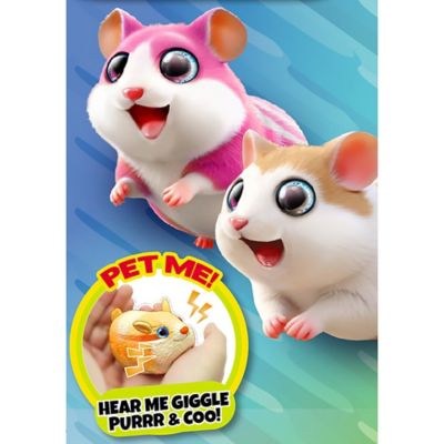 Image showing  Zooomie Pets: Rollin Ball/Zoomin Wheel