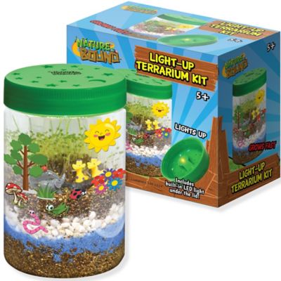 Nature Bound Light Up Terrarium Kit, Green