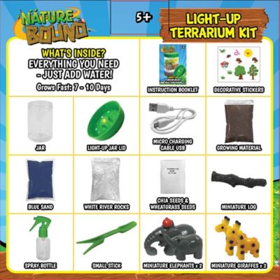 Image showing 2 th Nature Bound Light Up Terrarium Kit, Green