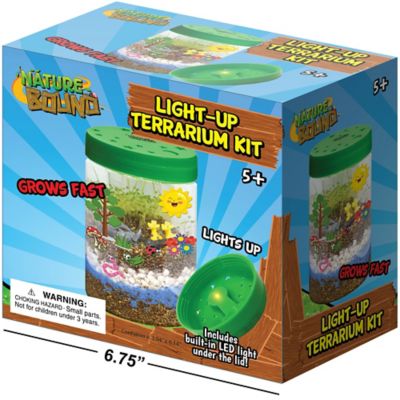 Image showing 5 th Nature Bound Light Up Terrarium Kit, Green