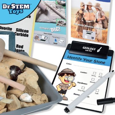 Image showing  Discovery Dig