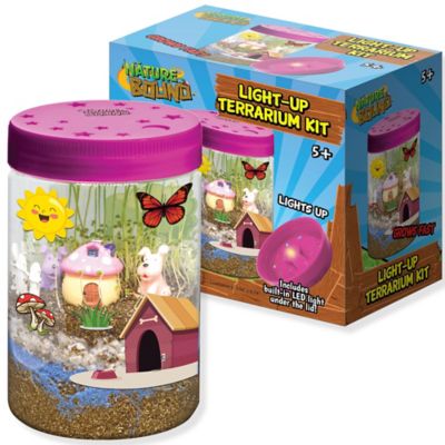 Nature Bound Light Up Terrarium Kit, Pink