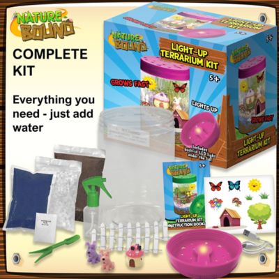 Image showing  Light Up Terrarium Kit, Pink