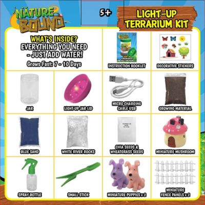 Image showing  Light Up Terrarium Kit, Pink