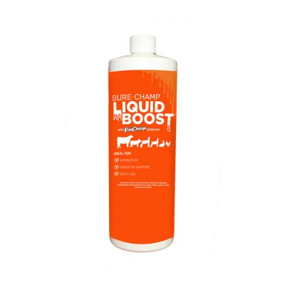 Sure Champ Liquid Boost, 32 fl. oz.