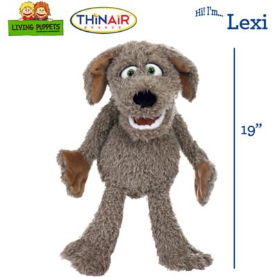 Image showing  Lexi The Brown Dog