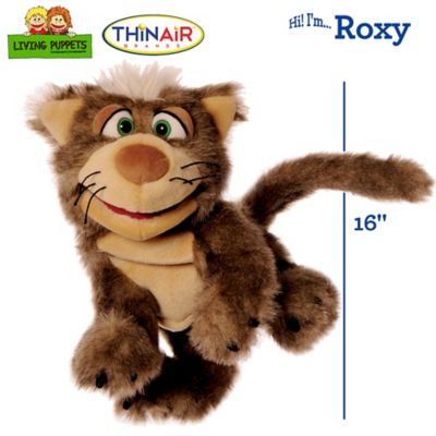 Image showing  Roxy The Brown Cat