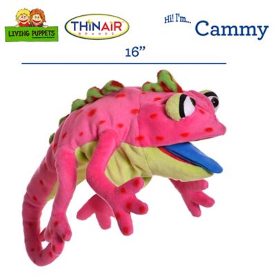 Image showing  Cammy The Pink Chameleon
