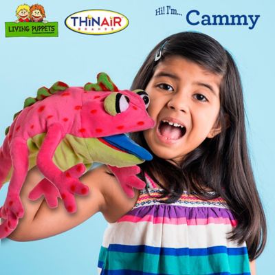 Image showing  Cammy The Pink Chameleon