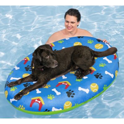 Image showing  Fetchin Fun Pet Pool Float