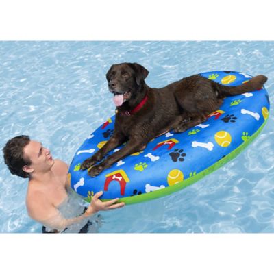 Image showing  Fetchin Fun Pet Pool Float
