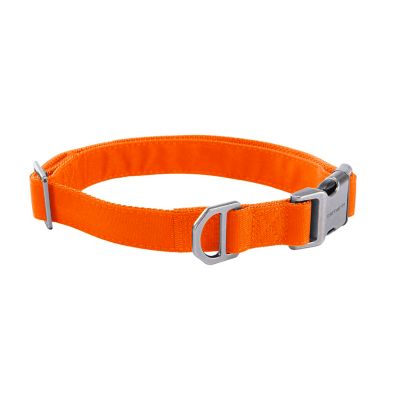 Carhartt Field Dog Collar