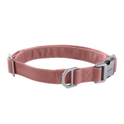 Carhartt Field Dog Collar
