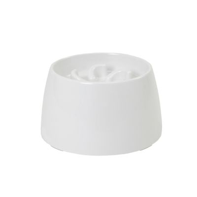 Image showing  Raised Slow Feeder Bowl