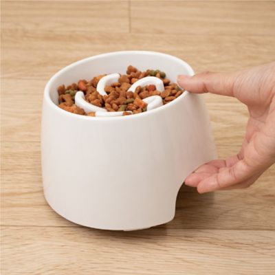Image showing  Raised Slow Feeder Bowl