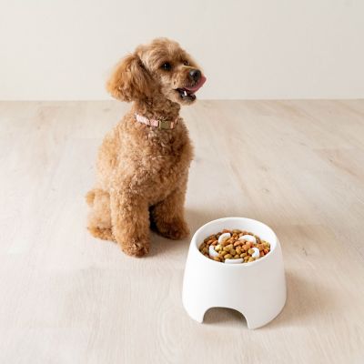 Image showing  Raised Slow Feeder Bowl