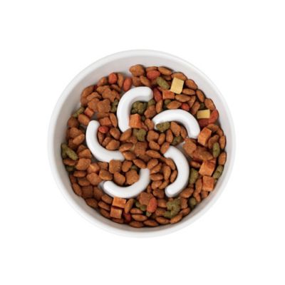 Image showing 5 th Richell Raised Slow Feeder Bowl