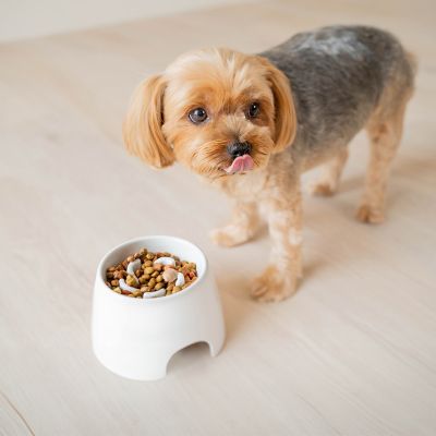 Image showing 8 th Richell Raised Slow Feeder Bowl