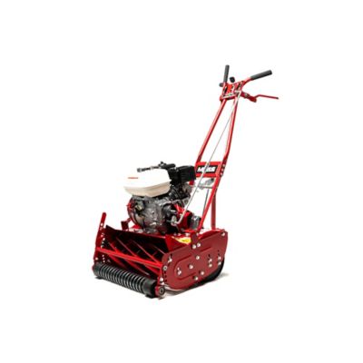 Image showing  Reel Mower 20 in. Grooved Roller 7 Blade GX120