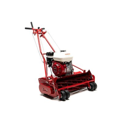Image showing 1 th McLane Reel Mower 25 in. Front Wheels 7 Blade GX160