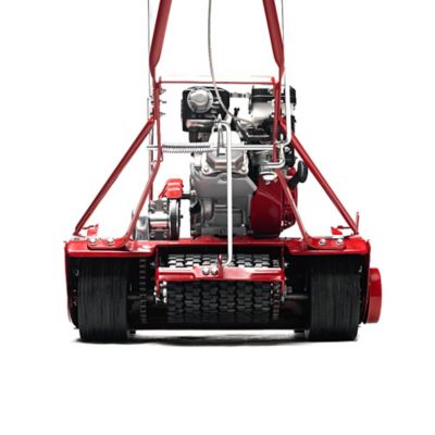 Image showing 5 th McLane Reel Mower 25 in. Front Wheels 7 Blade GX160