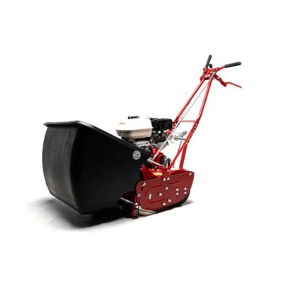 Image showing 3 th McLane Reel Mower 25 in. Grooved Roller 7 Blade GX160