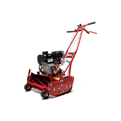 Image showing  Reel Mower 20 in. Front Wheels 7 Blade GX120