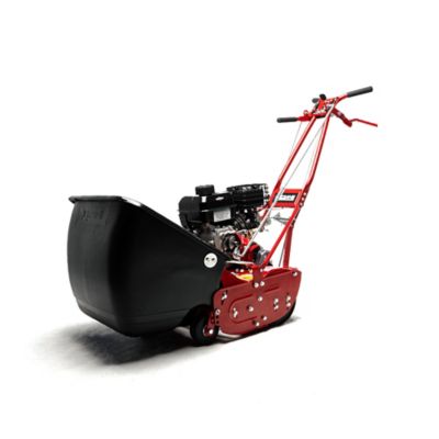 Image showing  Reel Mower 20 in. Front Wheels 7 Blade GX120