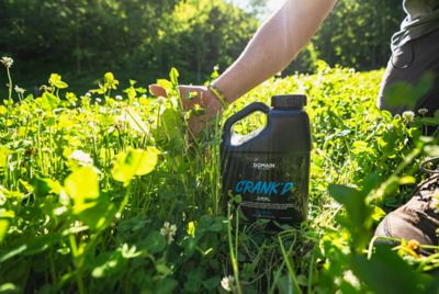 Image showing Domain Outdoor Crank'd 3-18-18 Liquid Fertilizer 2.5 gal.