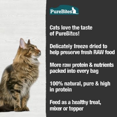 Image showing  Freeze Dried Cat Minnow