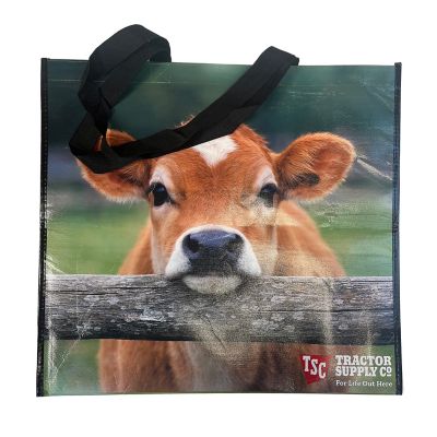 HaynesBesco Group Resting Calf NW Bag