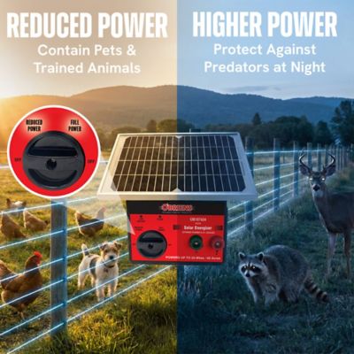 Image showing 3 th O'Briens 0.31 Joule Solar Electric Fence Charger, Powers Up to 20 Miles or 60 ac