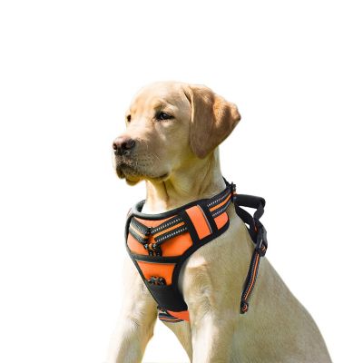 GOOPAWS Adjustable Padded Easy Control Lightweight Reflective Dog Harness, Orange, L